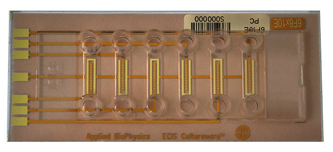 ECIS six channel flow chamber with 10 circular electrodes (0.49 sqr.mm total area) per channel. Lexan substrate. 0.66 mm channel height.