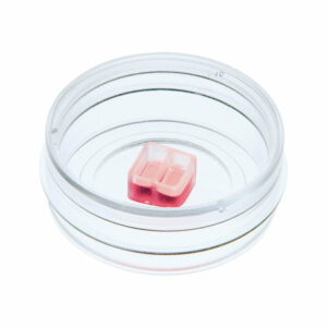 Culture-Insert 2 Well in µ-Dish 35 mm