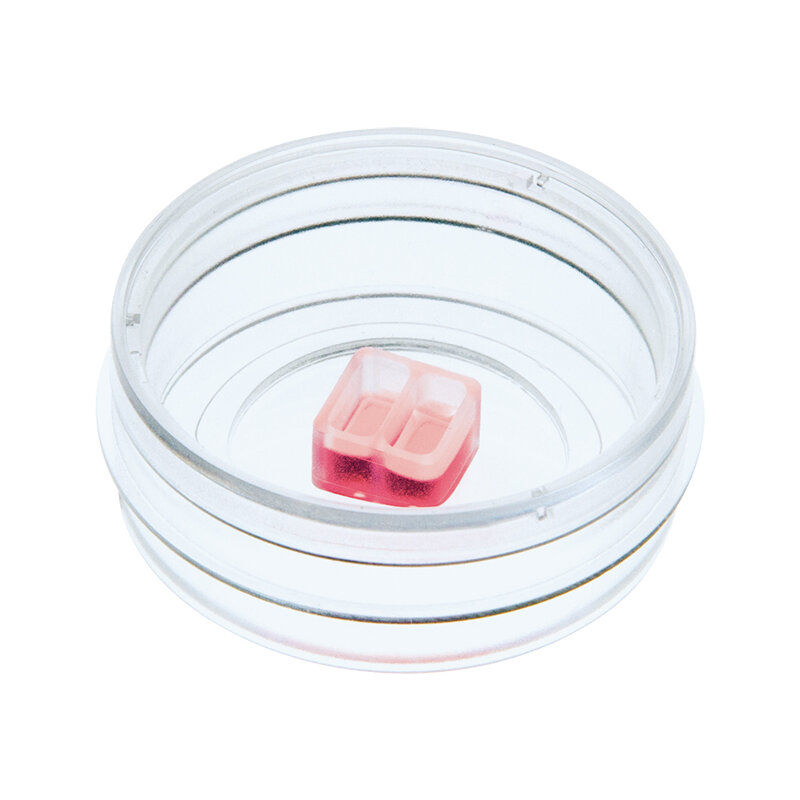 Culture-Insert 2 Well in µ-Dish 35 mm