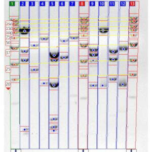 Analysis Software
