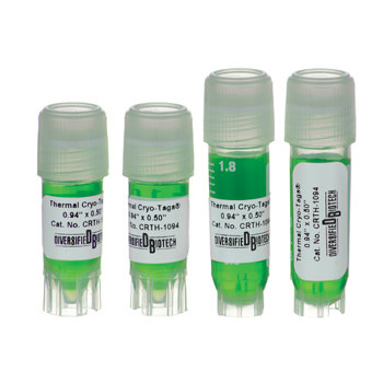 24mm x 13mm, Thermal Transfer Cryo-Tags, 2000/roll