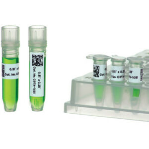20.6mm x 7mm, Thermal Transfer Cryo-Tags, 4000/roll
