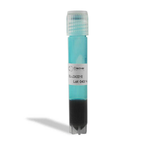 CSL-LOADDYE-1.WEB.jpg