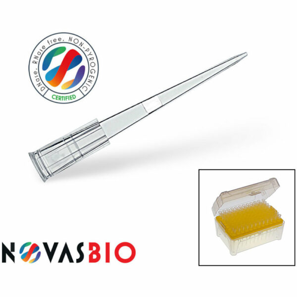 FT20R-NV-1000.jpg