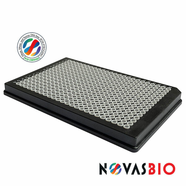 HP384-BKW-NV-1000.jpg