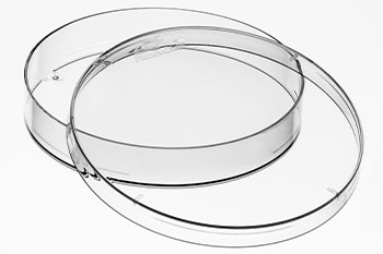 Planet-Safe® Cell Culture Dishes, 100 x 15mm, 375/cs