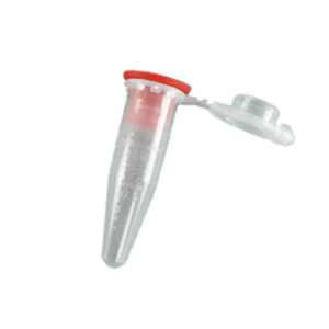 Pre-filled lysis tubes