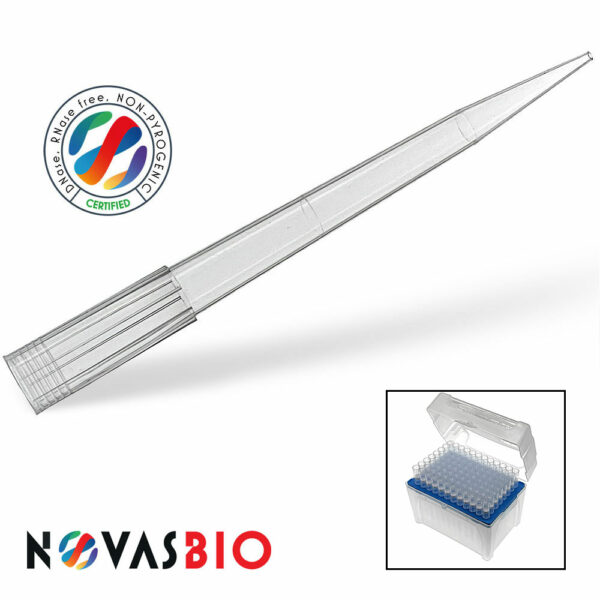 T1200R-NV-1000_1t37n4.jpg