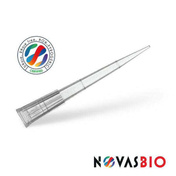 T200CNB-NV-1000_lulgz8.jpg