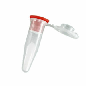 5E PINK Lysis Kit 100