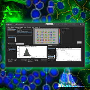 Image Analysis