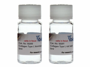 Collagen Type I