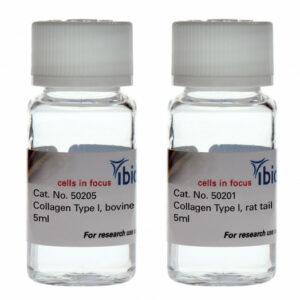 Collagen Type I