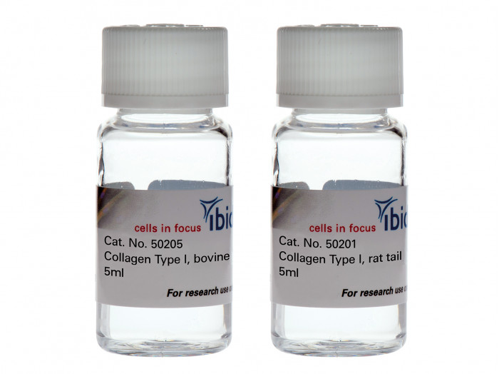 Collagen Type I