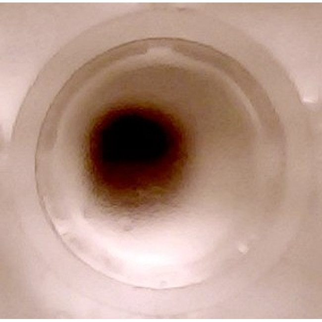 Flick and Blot Magnetic Separation Plate for 96 Well Deep and Standard 96 Flat, Round, V or Pyramid bottom microplates, 96 Magnetic (52 MGO) Cylinders, White Polycarbonate Frame, New Clips