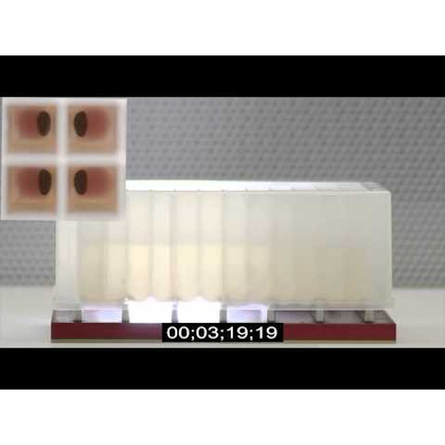 Magnetic Separation Plate for 96 Deep Well Flat, Round, or Pyramid bottom microplates, 7 Magnetic (Middle Bar Notched) (50 MGO) Bars, Aluminum Frame, SLAS Footprint, High Profile Registration Base Included