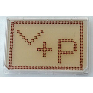 Alignment Jig for Registering Multi-Blot Replicators to Omni Trays