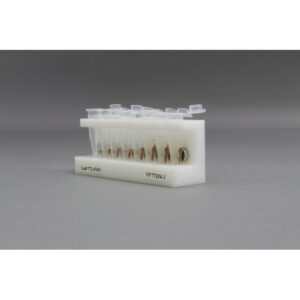 HDPE 8 place Magnetic Separation Rack for 1.5 and 2.0 ml Microcentrifuge Tubes, with a 8 NdFeB Magnets 10 mm in Diameter, Pellet located 1/6 of the Way up the Tube