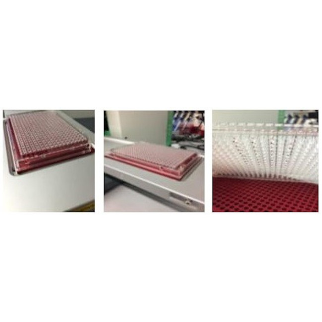 Magnetic Separation Plate for 384 Well PCR Microplates on a TTP Labtech Mosquito, 384 Magnetic (52 MGO) Cylinders, SLAS Footprint