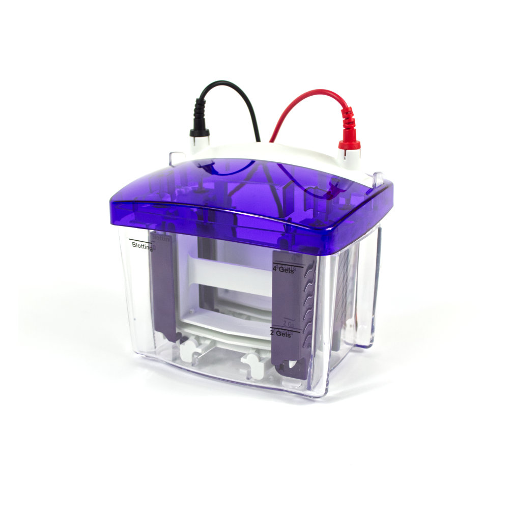 proPAGE 2 - mini PAGE system for 2 gels
