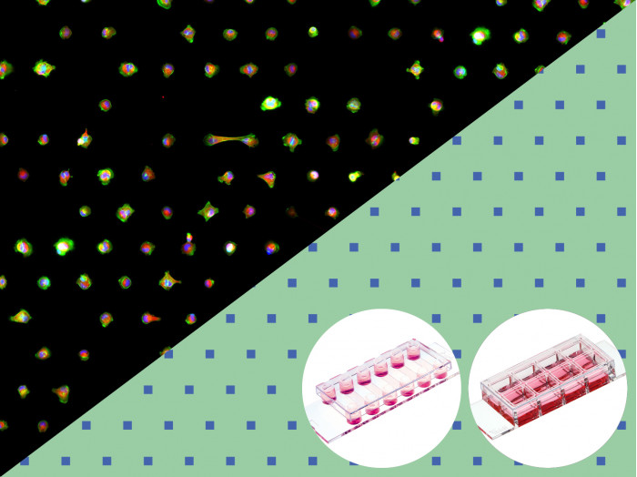Slides With Single Cell Pattern 2