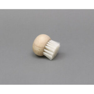 Pin Cleaning Brush