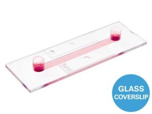 μ-Slide I Luer Glass Bottom