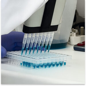 ThistlELITE TruPCR 96-Well PCR Plate, Polypropylene, Half Skirt , Clear, Single Notch at A12