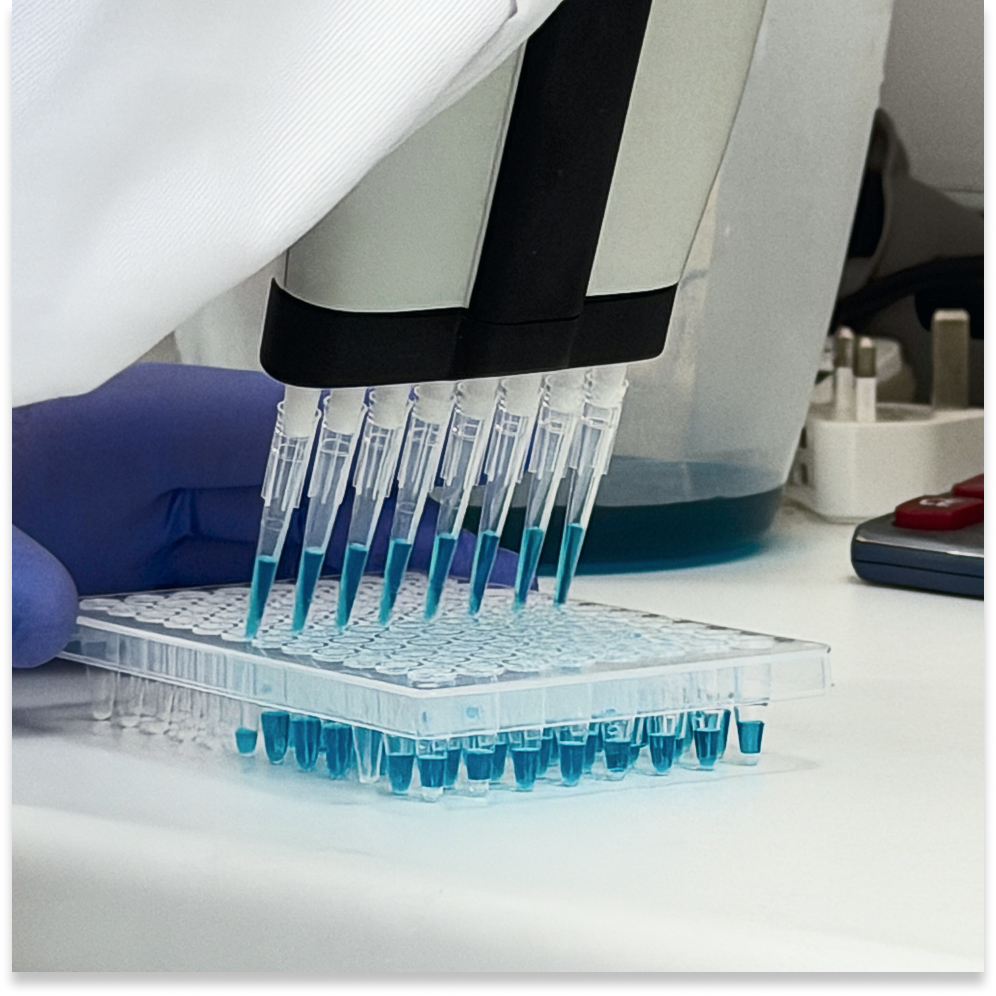 ThistlELITE TruPCR 96-Well PCR Plate, Polypropylene, Half Skirt , Clear, Single Notch at A12