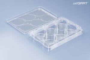 cellQART® 6-Well Empty Plate