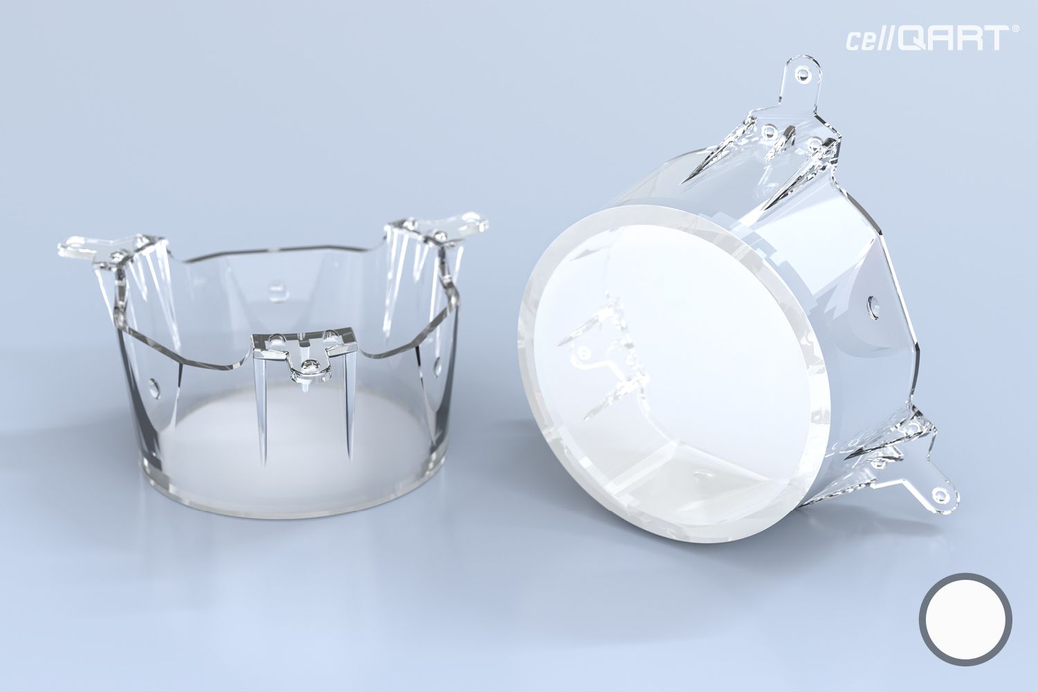 cellQART® 6-Well Insert 1.0 µm PET translucent