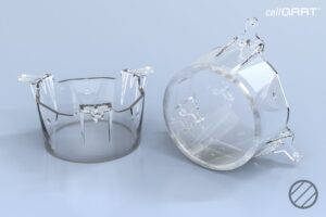 cellQART® 6-Well Insert 3.0 µm PET clear