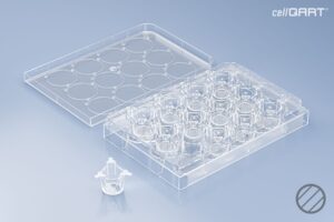 cellQART® 12-Well Plate 0.4 µm PET clear (FP)