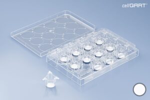 cellQART® 12-Well Plate 1.0 µm PET translucent (FP)
