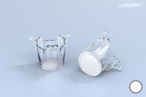 cellQART® 12-Well Insert 5.0 µm PET translucent
