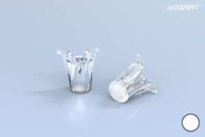 cellQART® 24-Well Insert 0.4 µm PET translucent