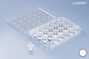 cellQART® 24-Well Plate 0.4 µm PET translucent (FP)