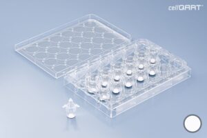 cellQART® 24-Well Plate 0.4 µm PET translucent (HP)