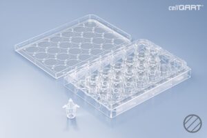 cellQART® 24-Well Plate 0.4 µm PET clear (HP)