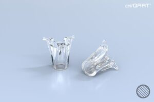 cellQART® 24-Well Insert 0.4 µm PET clear extended culture