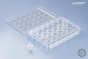 cellQART® 24-Well Plate 0.4 µm PET clear extended culture (HP)