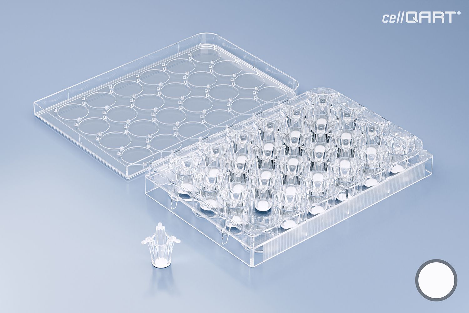 cellQART® 24-Well Plate 1.0 µm PET translucent (FP)