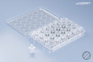 cellQART® 24-Well Plate 1.0 µm PET clear (FP)