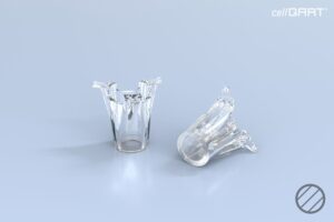 cellQART® 24-Well Insert 8.0 µm PET clear